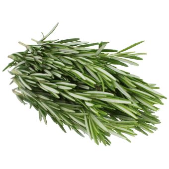 Rosmary- 1xPac02